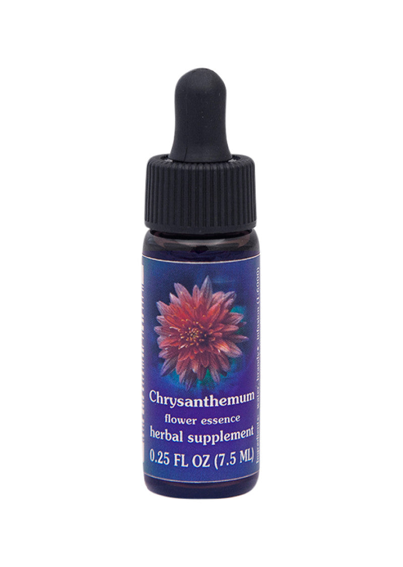 Fes Org Flower Ess Quintessent Chrysanthemum 7.5ml