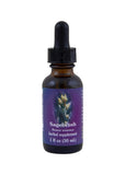 Fes Org Flower Ess Quintessent Sagebrush 30ml