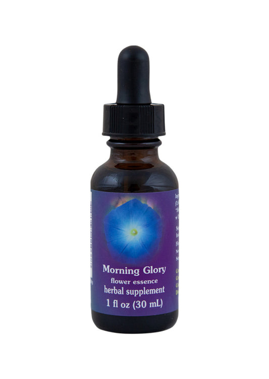Fes Org Flower Ess Quintessent Morning Glory 30ml