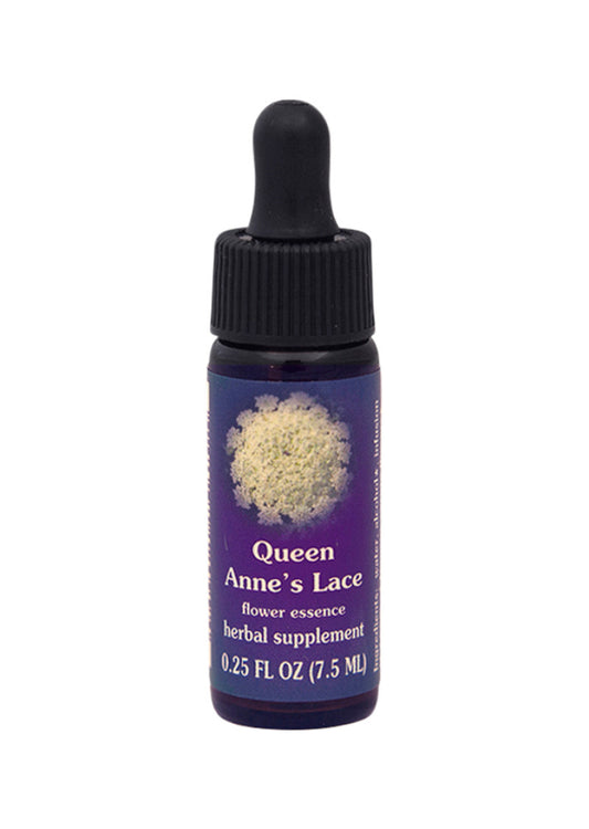 Fes Org Flower Ess Quintessent Queen Anne's Lace 7.5ml
