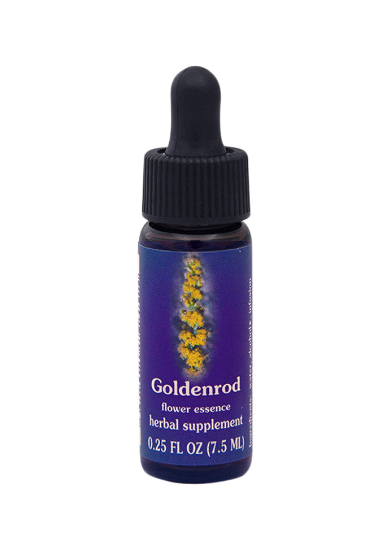 Fes Org Flower Ess Quintessent Goldenrod 7.5ml