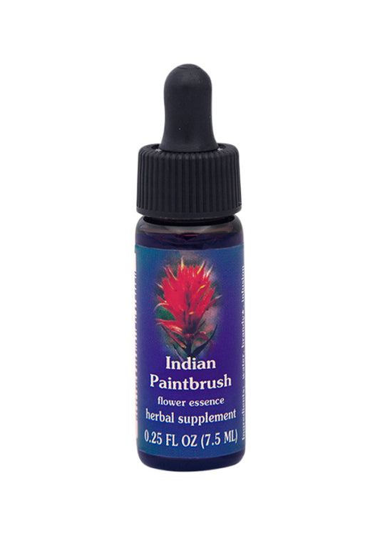 Fes Org Flower Ess Quintessent Indian Paintbrush 7.5ml