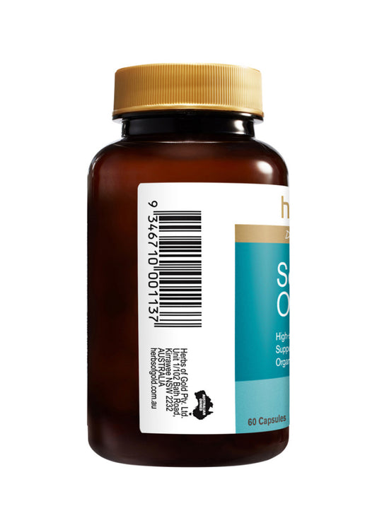 Herbs of Gold Sea Buckthorn Oil 60c