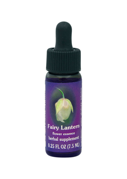 Fes Org Flower Ess Quintessent Fairy Lantern 7.5ml