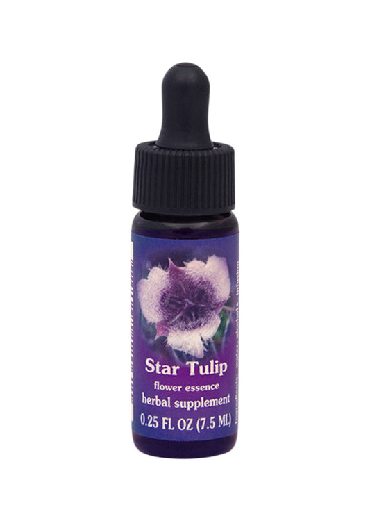 Fes Org Flower Ess Quintessent Star Tulip 7.5ml