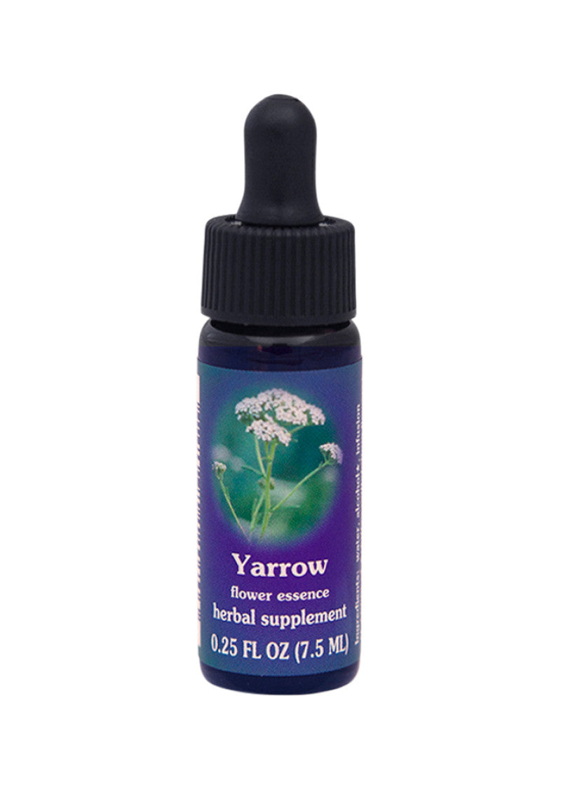 Fes Org Flower Ess Quintessent Yarrow 7.5ml