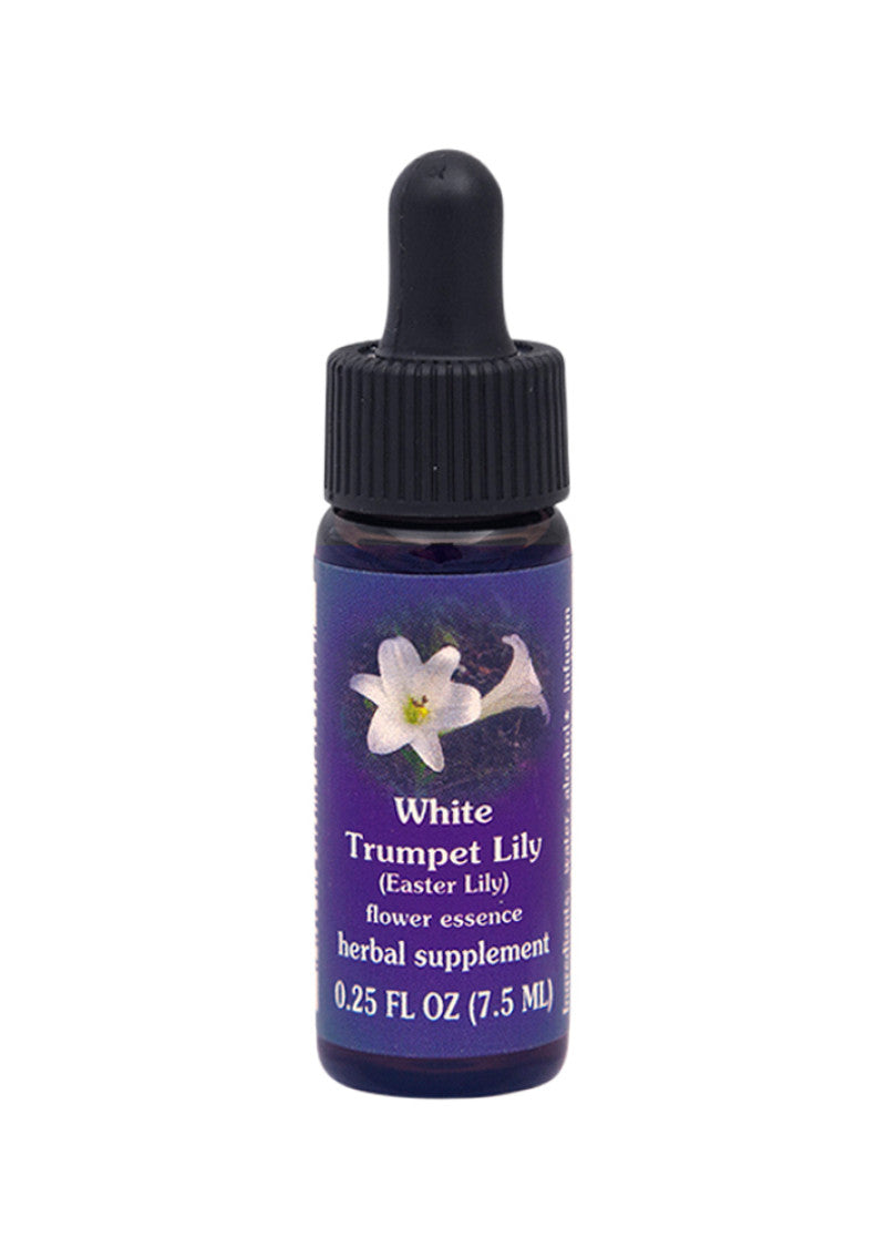 Fes Org Flower Ess Quintessent White Trumpet Lily 7.5ml