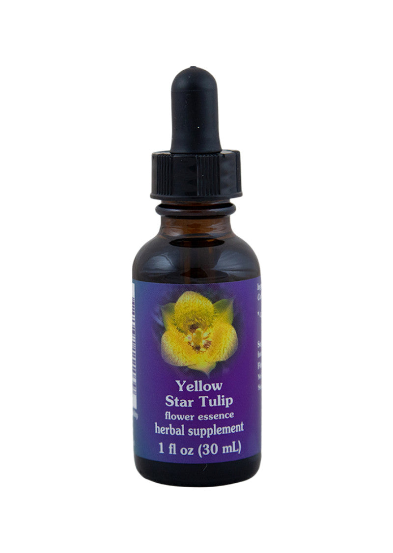 Fes Org Flower Ess Quintessent Yellow Star Tulip 30ml