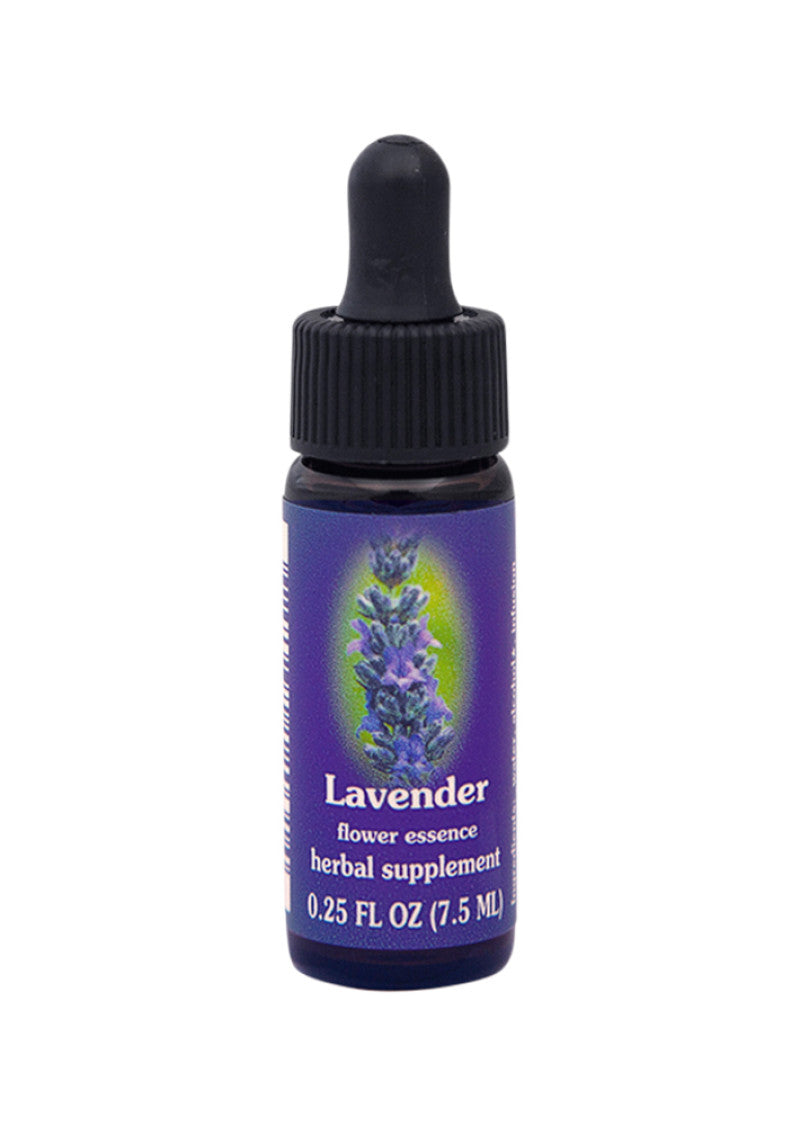 Fes Org Flower Ess Quintessent Lavender 7.5ml