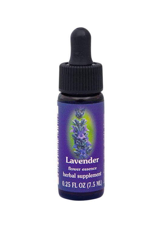 Fes Org Flower Ess Quintessent Lavender 7.5ml