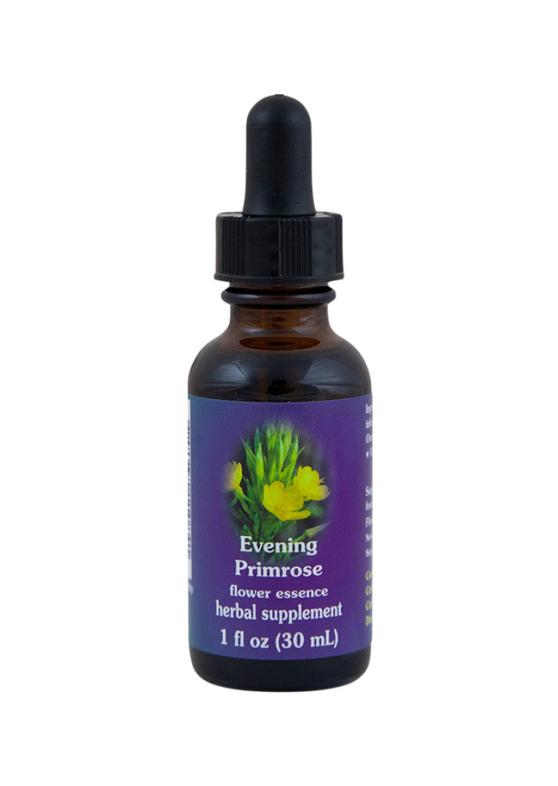 Fes Org Flower Ess Quintessent Evening Primrose 30ml