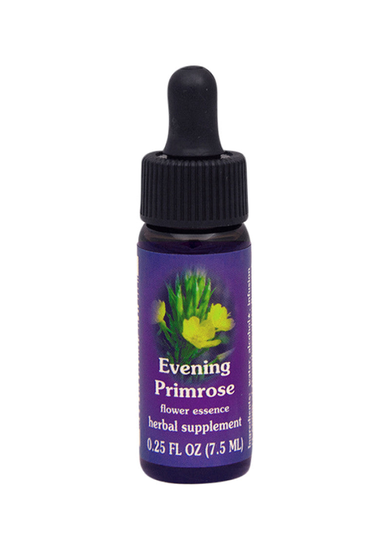 Fes Org Flower Ess Quintessent Evening Primrose 7.5ml