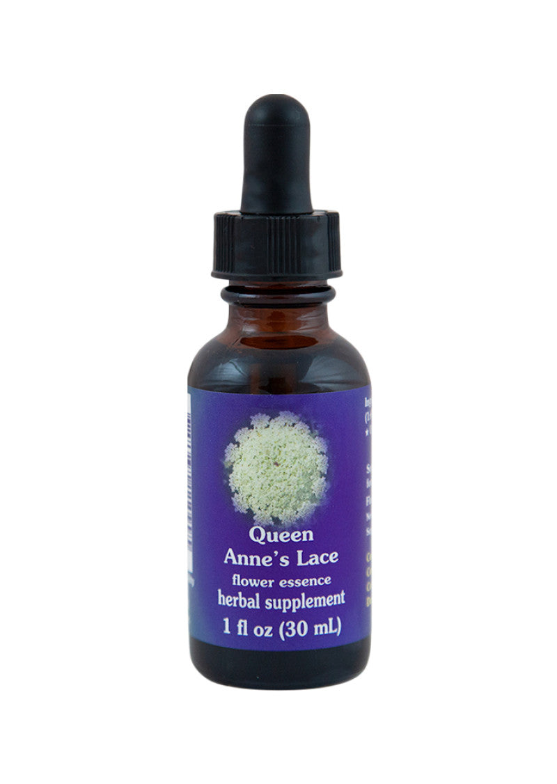 Fes Org Flower Ess Quintessent Queen Anne's Lace 30ml