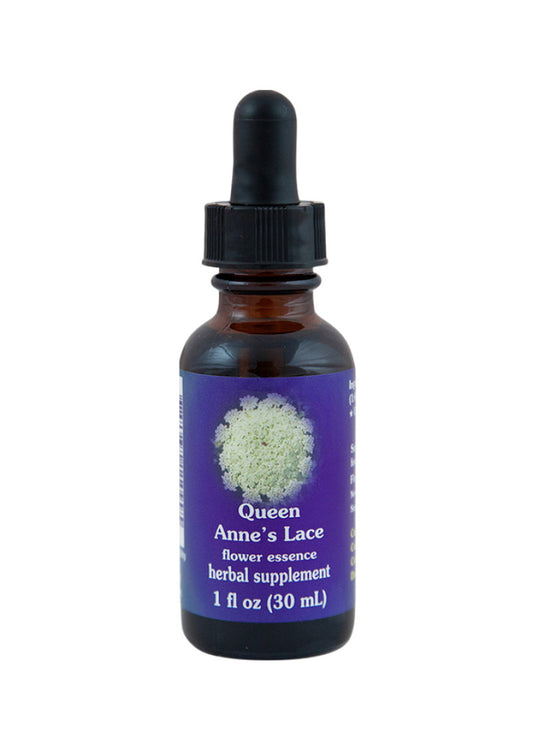 Fes Org Flower Ess Quintessent Queen Anne's Lace 30ml