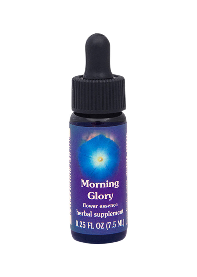 Fes Org Flower Ess Quintessent Morning Glory 7.5ml