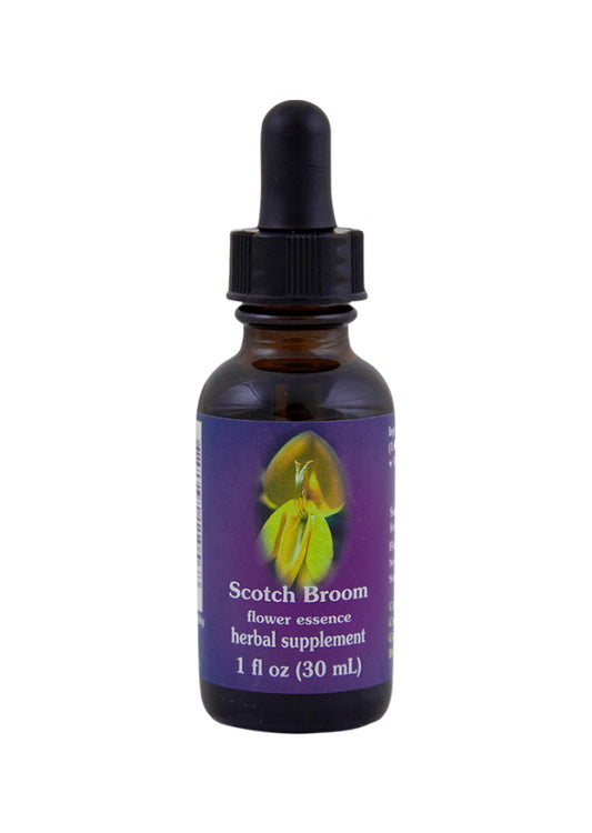 Fes Org Flower Ess Quintessent Scotch Broom 30ml