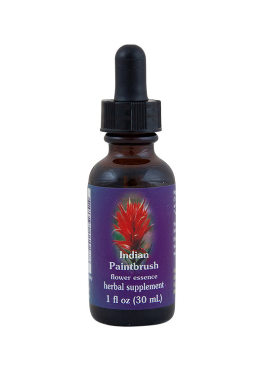 Fes Org Flower Ess Quintessent Indian Paintbrush 30ml