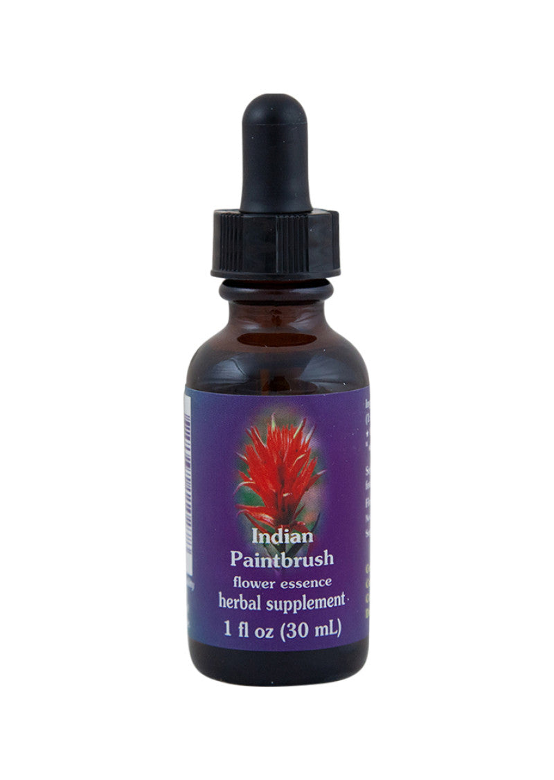 Fes Org Flower Ess Quintessent Indian Paintbrush 30ml