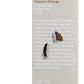 Love Tea Organic Coconut Orange Loose Leaf 100g