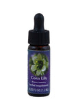 Fes Org Flower Ess Range Light Corn Lily 7.5ml