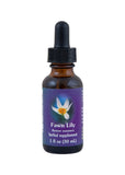 Fes Org Flower Ess Quintessent Fawn Lily 30ml