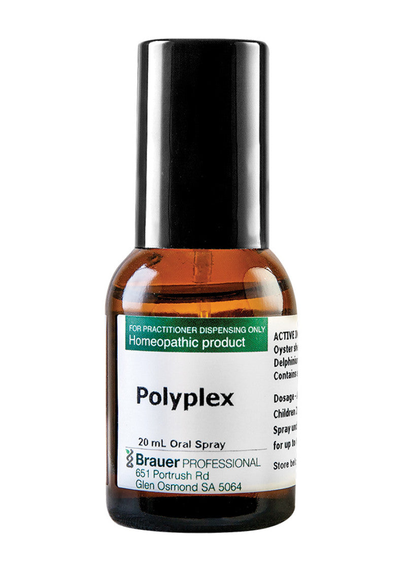 Brauer Professional Polyplex ** Sell Through **