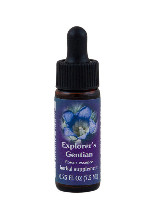 Fes Org Flower Ess Range Of Light Explorers Gentian 7.5ml