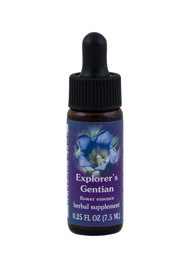 Fes Org Flower Ess Range Of Light Explorers Gentian 7.5ml