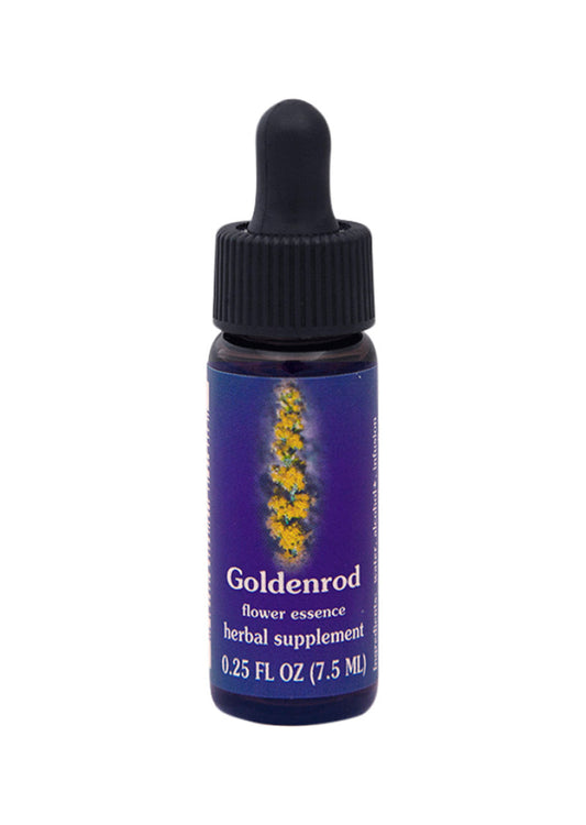 Fes Org Flower Ess Quintessent Goldenrod 7.5ml