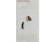 Love Tea Organic Coconut Orange Loose Leaf 100g