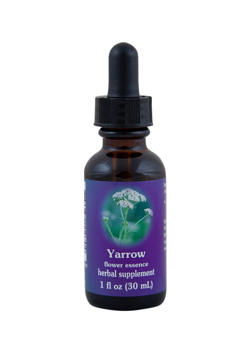 Fes Org Flower Ess Quintessent Yarrow 30ml