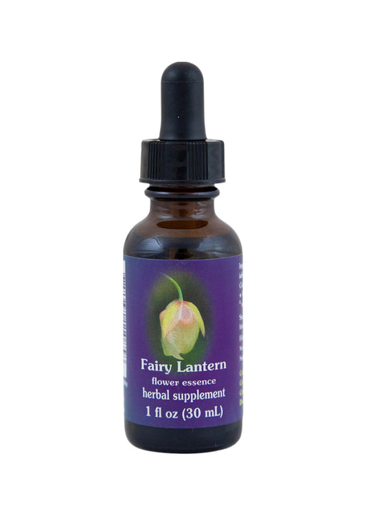 Fes Org Flower Ess Quintessent Fairy Lantern 30ml