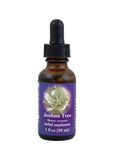 Fes Org Flower Ess Range Light Joshua Tree 30ml