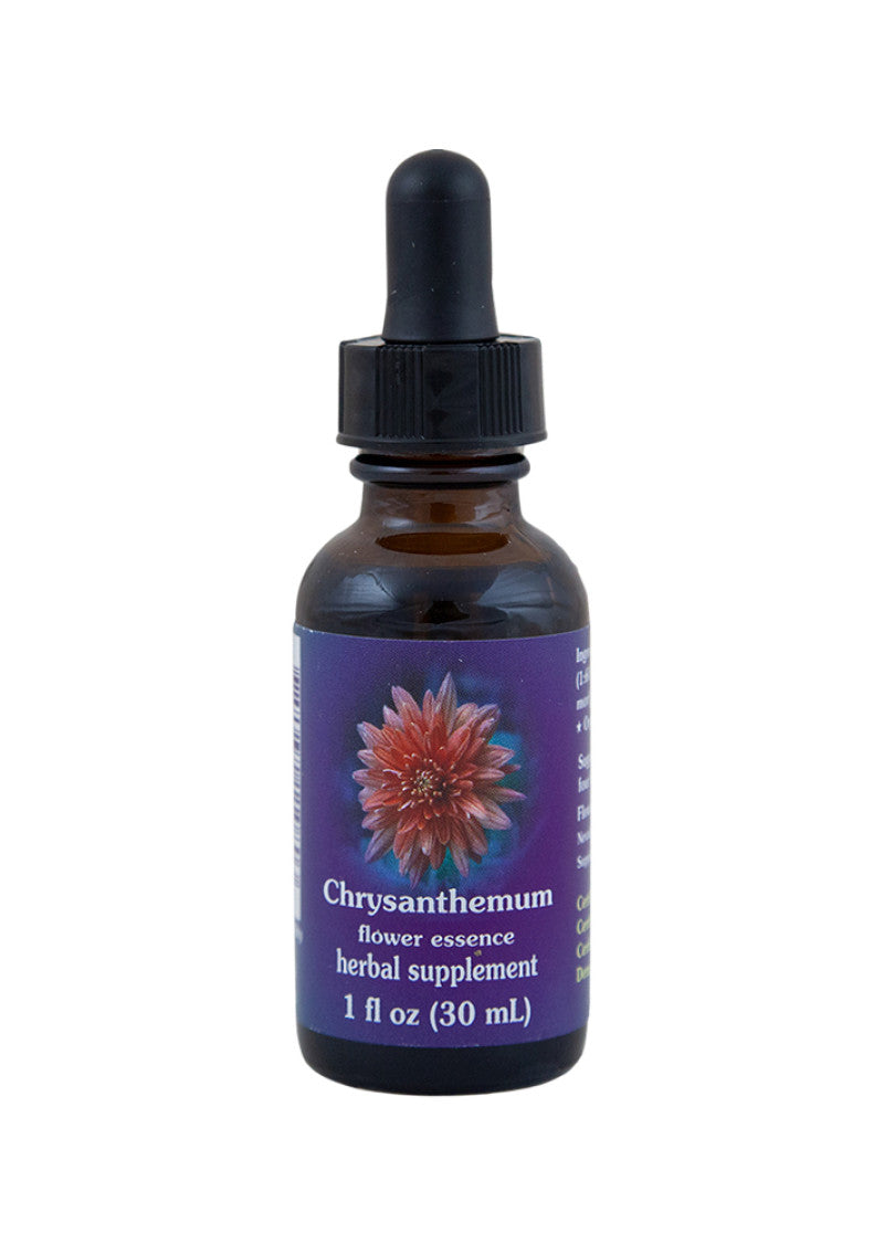 Fes Org Flower Ess Quintessent Chrysanthemum 30ml