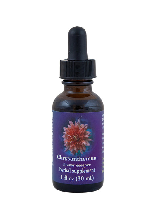 Fes Org Flower Ess Quintessent Chrysanthemum 30ml