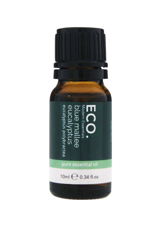 Eco Mod Ess Essential Oil Eucalyptus Blue Mallee 10ml