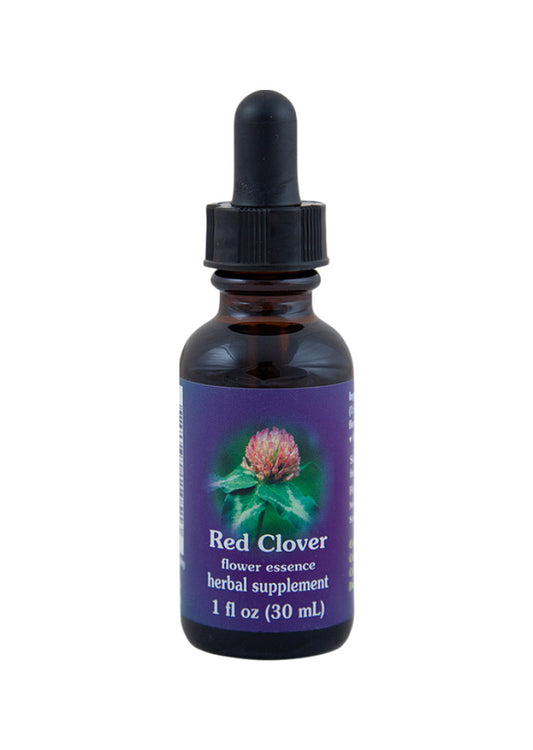 Fes Org Flower Ess Quintessent Red Clover 30ml