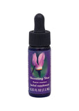 Fes Org Flower Ess Quintessent Shooting Star 7.5ml