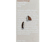 Love Tea Organic Coconut Orange Loose Leaf 100g