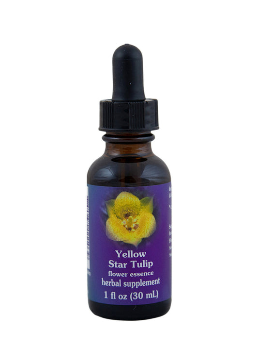 Fes Org Flower Ess Quintessent Yellow Star Tulip 30ml