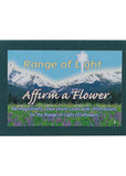 Fes Cards Affirm A Flower Range Light Flow Ess Set X 48