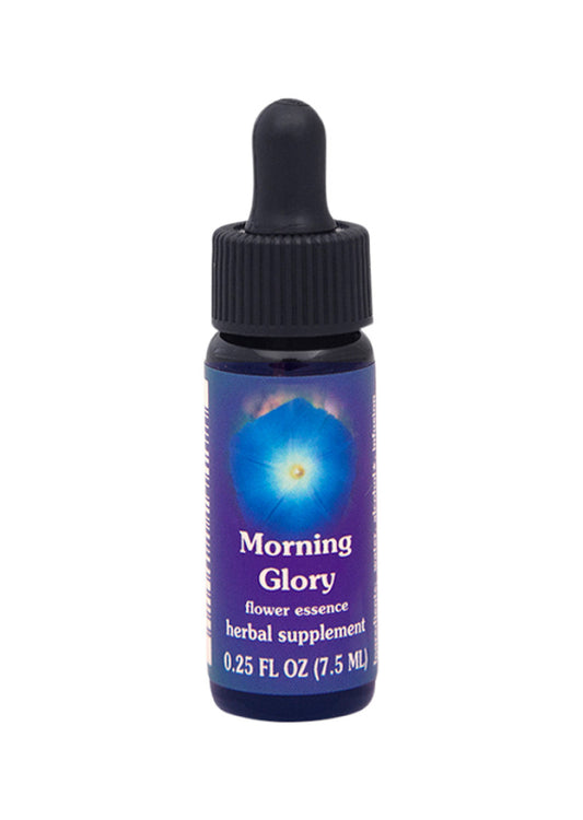 Fes Org Flower Ess Quintessent Morning Glory 7.5ml