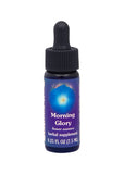 Fes Org Flower Ess Quintessent Morning Glory 7.5ml