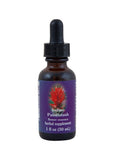 Fes Org Flower Ess Quintessent Indian Paintbrush 30ml