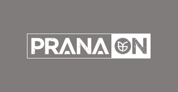 PRANA ON Protein - Protein Plant Based Nutrition