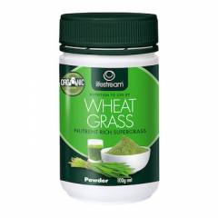 Lifestream Wheat Grass Powder - Certified Organic