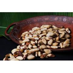 Activated Brazil Nuts  - Organic