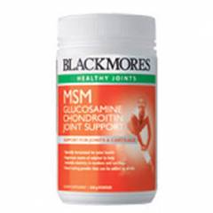 MSM Joint Support Powder